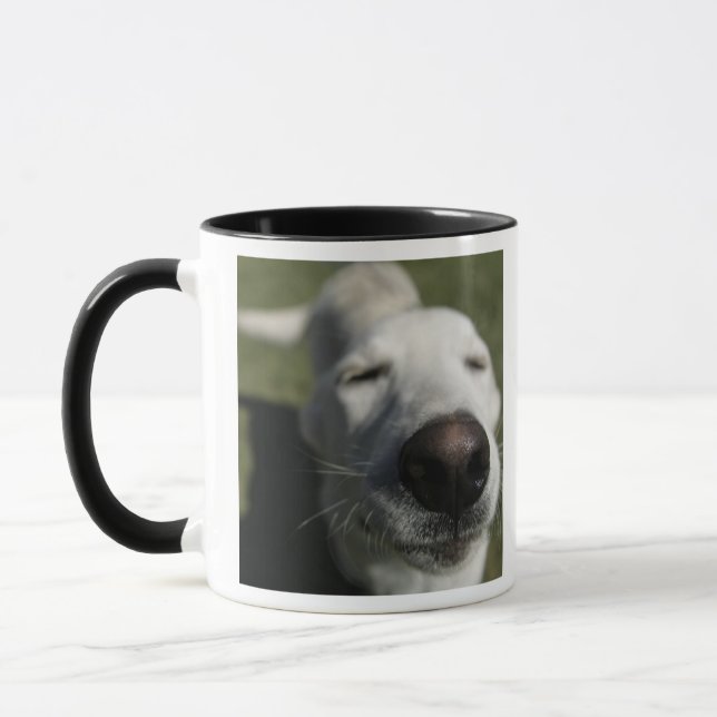 Taza Santa Fe, Nuevo México (Izquierda)