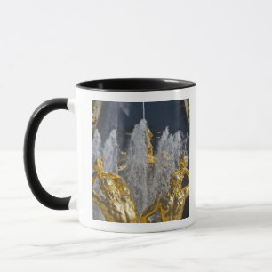 Taza Santiago de Petersburgo, fuentes de la Gran Cascad