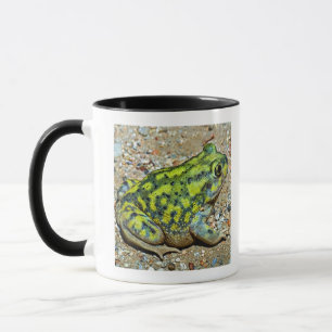 Taza Sapo de Spadefoot de un sofá