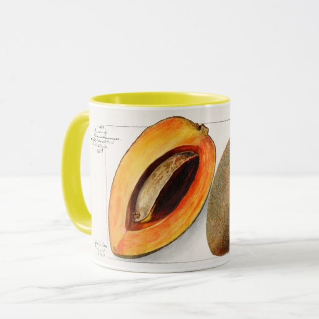 Taza Sapote (Anverso izquierdo)