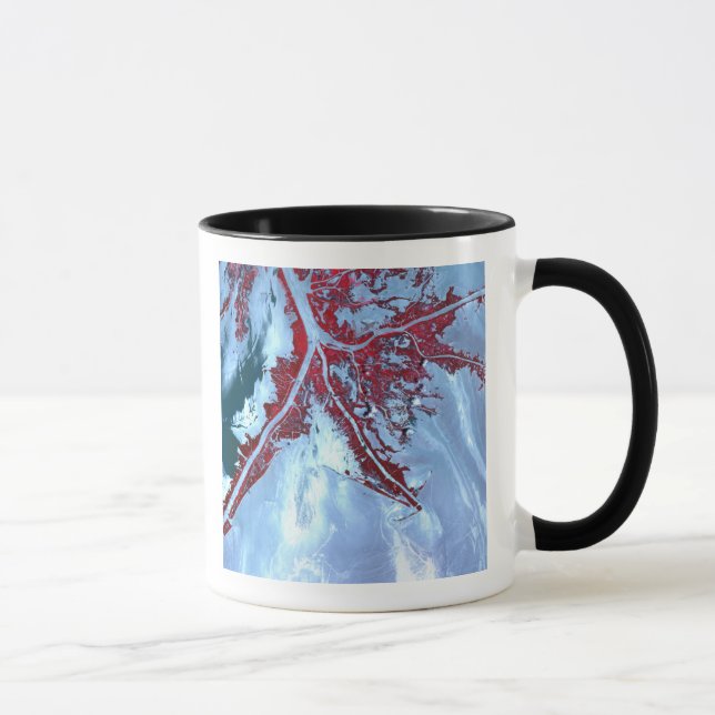 Taza Satélite de color falso (Derecha)