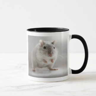 TAZA SATISFECHO PARA ENCONTRARLE