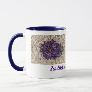 Taza Sea Urchin Ocean Beach Holiday Summer Souvenir