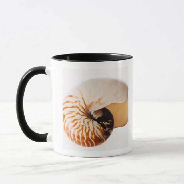 Taza Seashell del nautilus (stenomphalus del nautilus) (Izquierda)