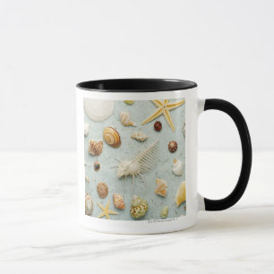 Taza Seashells clasificados en fondo azul