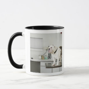 Taza Seattle, Washington, los E.E.U.U.