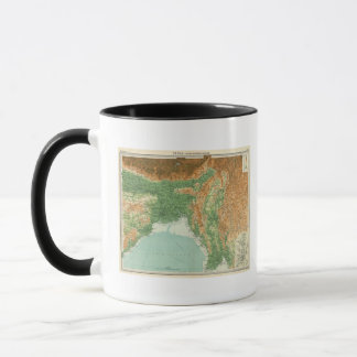 Taza Sección noreste de India