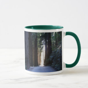 Taza Secoyas magníficas