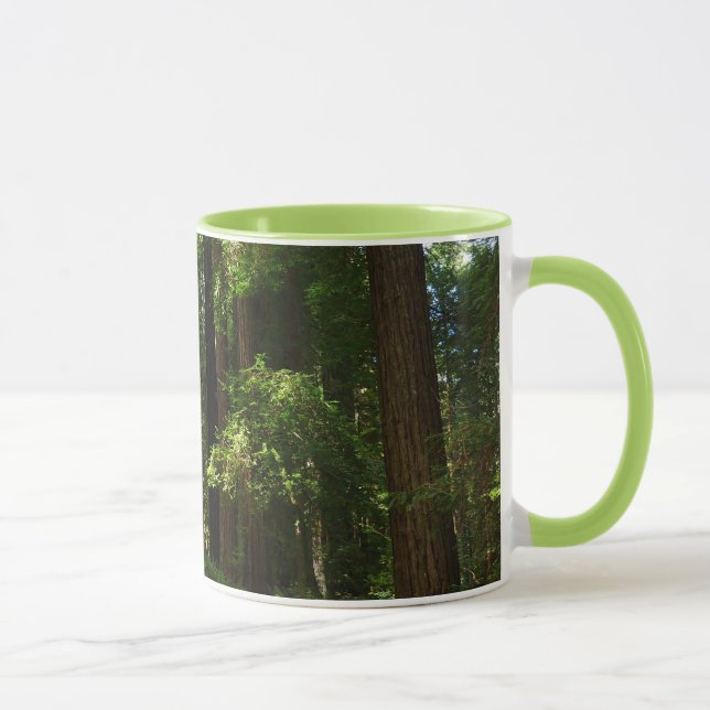 Taza Secuoyas y ferris en el Parque Nacional Redwood (Derecha)