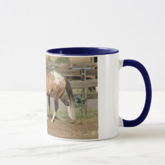 Taza semental Bradford del sportaloosa