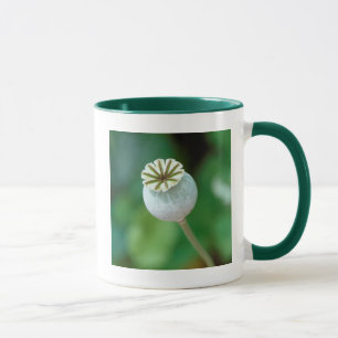 Taza Semilla de Cabeza de Flor de Amapola, Cabo Occiden