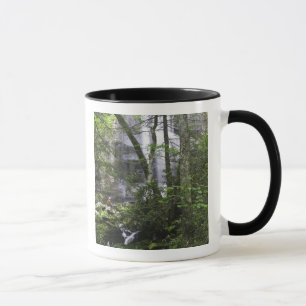 Taza Senderista admira Falls Branch Falls