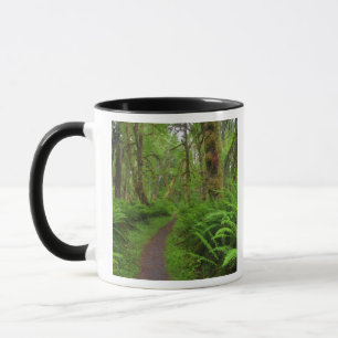 Taza sendero Maple Glade, helechos y musgo cubierto