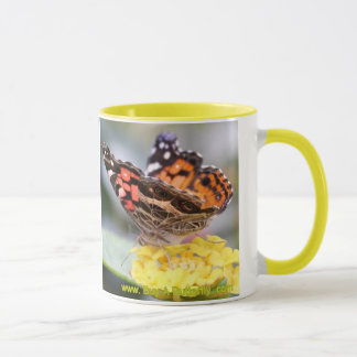 Taza Señora pintada americano Butterfly Lifecycle
