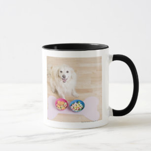 Taza sentada mestiza delante de dos cuencos con el