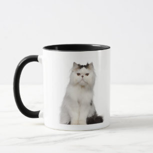 Taza Sentada persa (de 10 meses)
