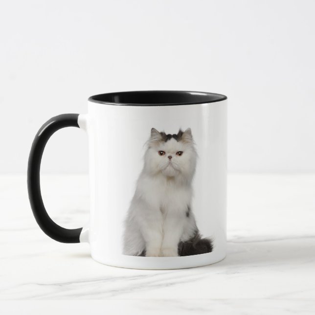 Taza Sentada persa (de 10 meses) (Izquierda)