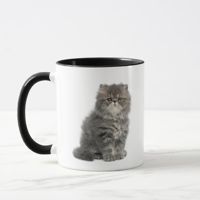 Taza Sentada persa del gatito (2 meses) (Izquierda)