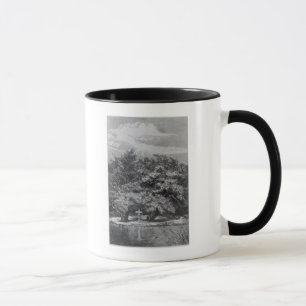 Taza Sepulcro de Charles Waterton