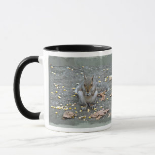 Taza Serie de ardillas grises