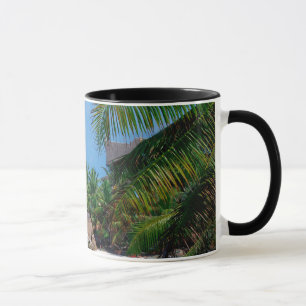 Taza Seychelles – Arte de pared tropical en lienzo