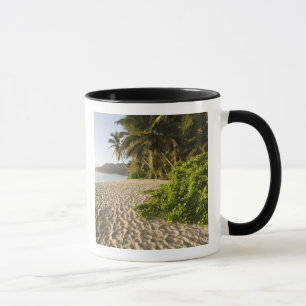 Taza Seychelles, Isla de Mahe, Anse Marie-Louise