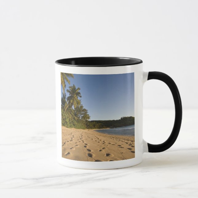 Taza Seychelles, isla de Mahe, playa Anse Takamaka, 2 (Derecha)