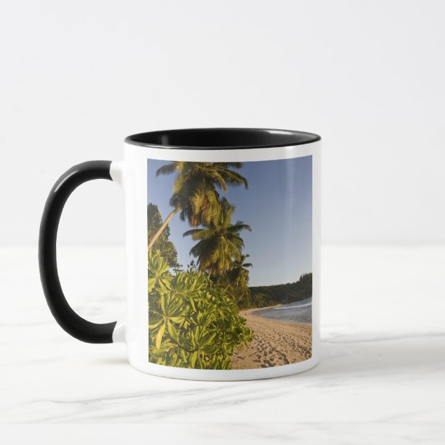 Taza Seychelles, isla de Mahe, playa de Anse Takamaka, (Izquierda)