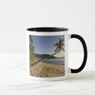 Taza Seychelles, isla de Mahe, playa de Anse Takamaka,