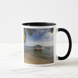 Taza Seychelles, isla de Praslin, Anse Bois de Rose,