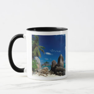 Taza Seychelles, isla Mahe, playa Anse Royale.