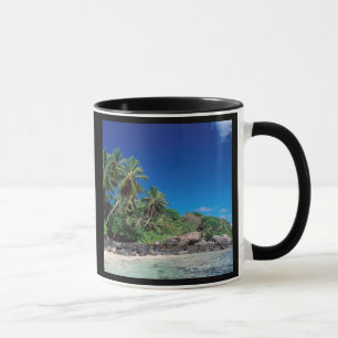 Taza Seychelles, Isla Mahe, Playa Anse Royale. 2