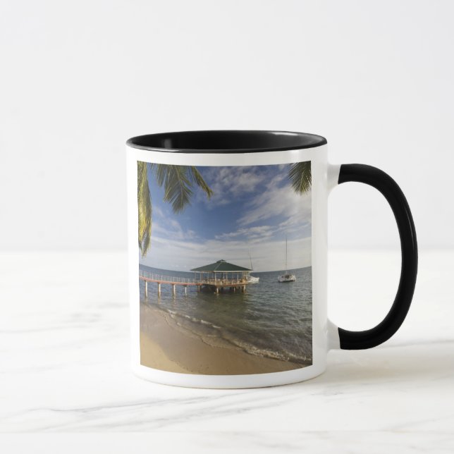 Taza Seychelles, la isla de Praslin, Anse Bois de Rosa, (Derecha)