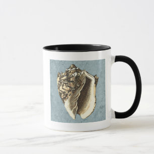 Taza Shell de conchas encalladas