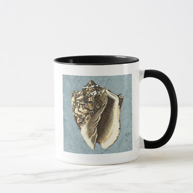 Taza Shell de conchas encalladas (Derecha)