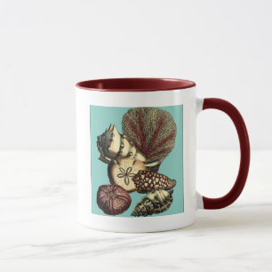 Taza Shell turquesa y colección de corales rojos