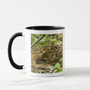 Taza Shenandoah NP, Virginia, los E.E.U.U.