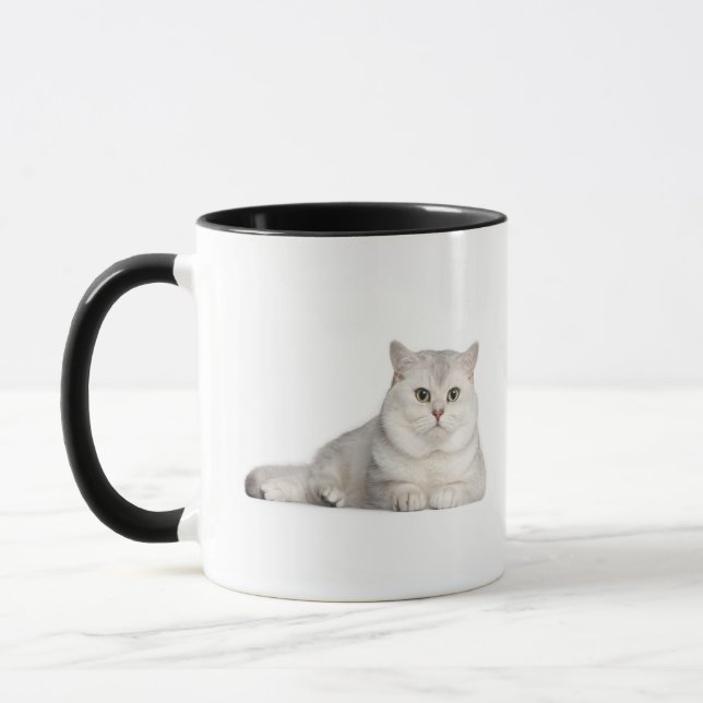 Taza Shorthair británico (2 años) que miente en frente (Izquierda)