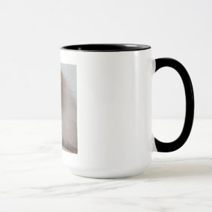 Taza siberiana del gato