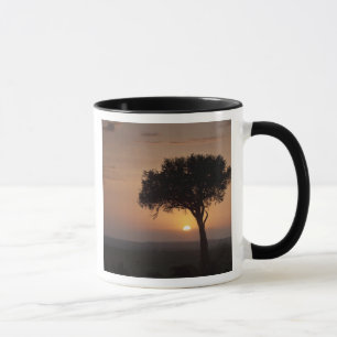 Taza Silueta de árbol en la llanura, Masai Mara 2