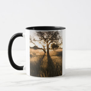 Taza Silueta de árboles de acacia en hierba. Mariental