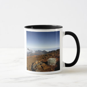 Taza Silvero en la cuenca del cráter Haleakala desde c