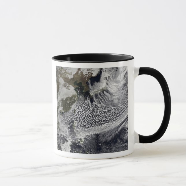 Taza Simulación en nube de un solo día 4 (Derecha)