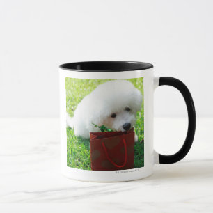 Taza Singapur 7