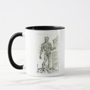Taza Sistema vascular según Charles Etienne