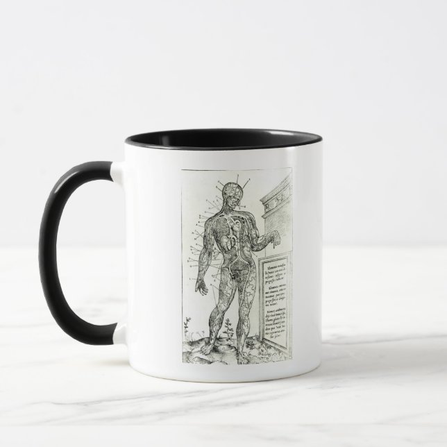 Taza Sistema vascular según Charles Etienne (Izquierda)