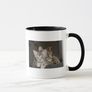 Taza Snuggle