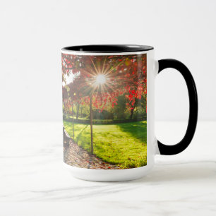 Taza Sol a través de hojas de otoño, Croacia