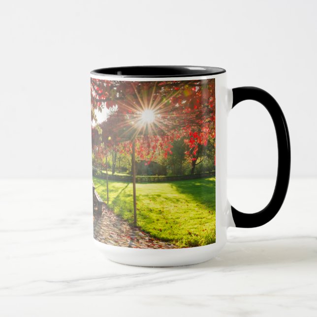 Taza Sol a través de hojas de otoño, Croacia (Derecha)