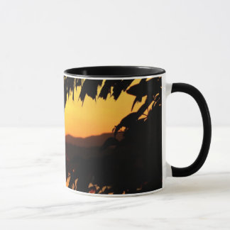 Taza Sol matutino pacífico